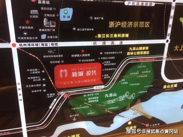2024新奥全年资料免费大全,决策信息解释_HUA55.390闪电版