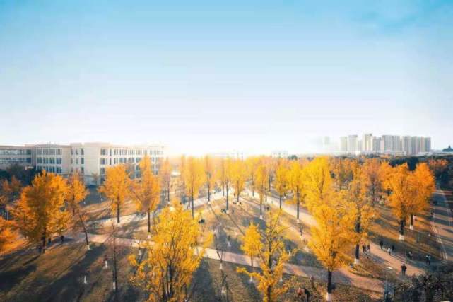 建筑装修装饰贰级 第403页