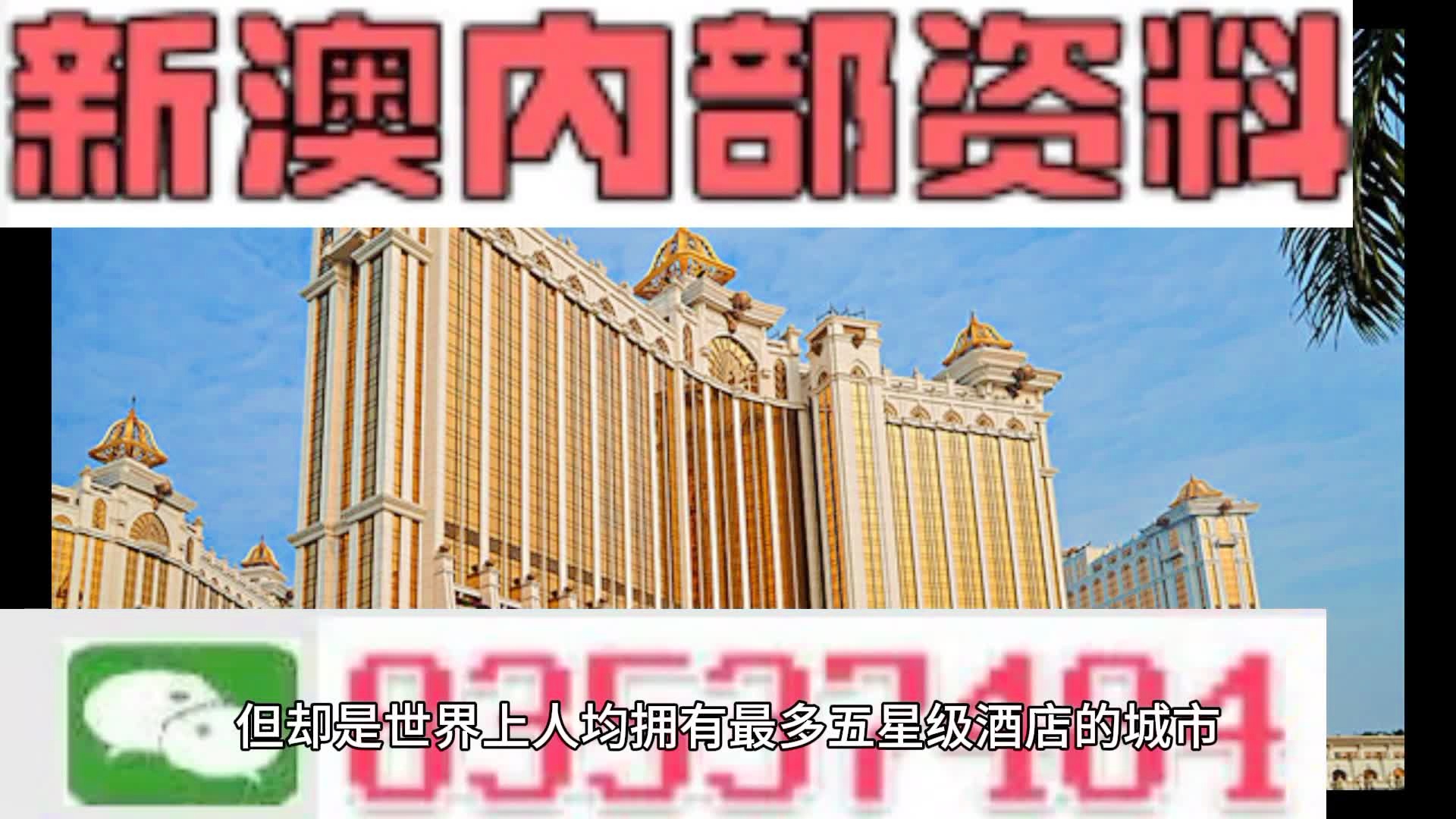 澳门内部免费资料,高效运行支持_FQG45.208便携版