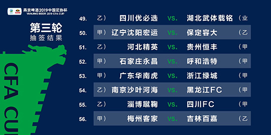 2024澳门免费精准6肖,安全性方案执行_WVM45.385私人版
