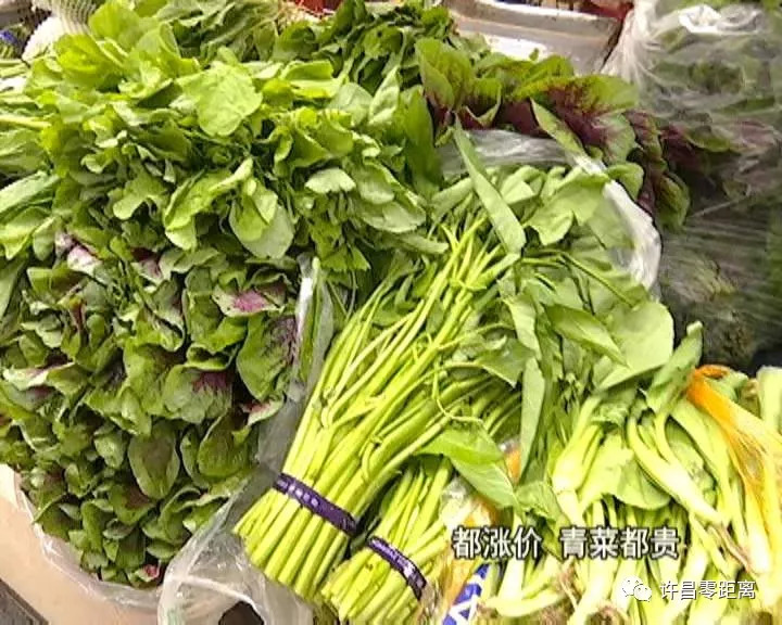 建筑装修装饰贰级 第366页