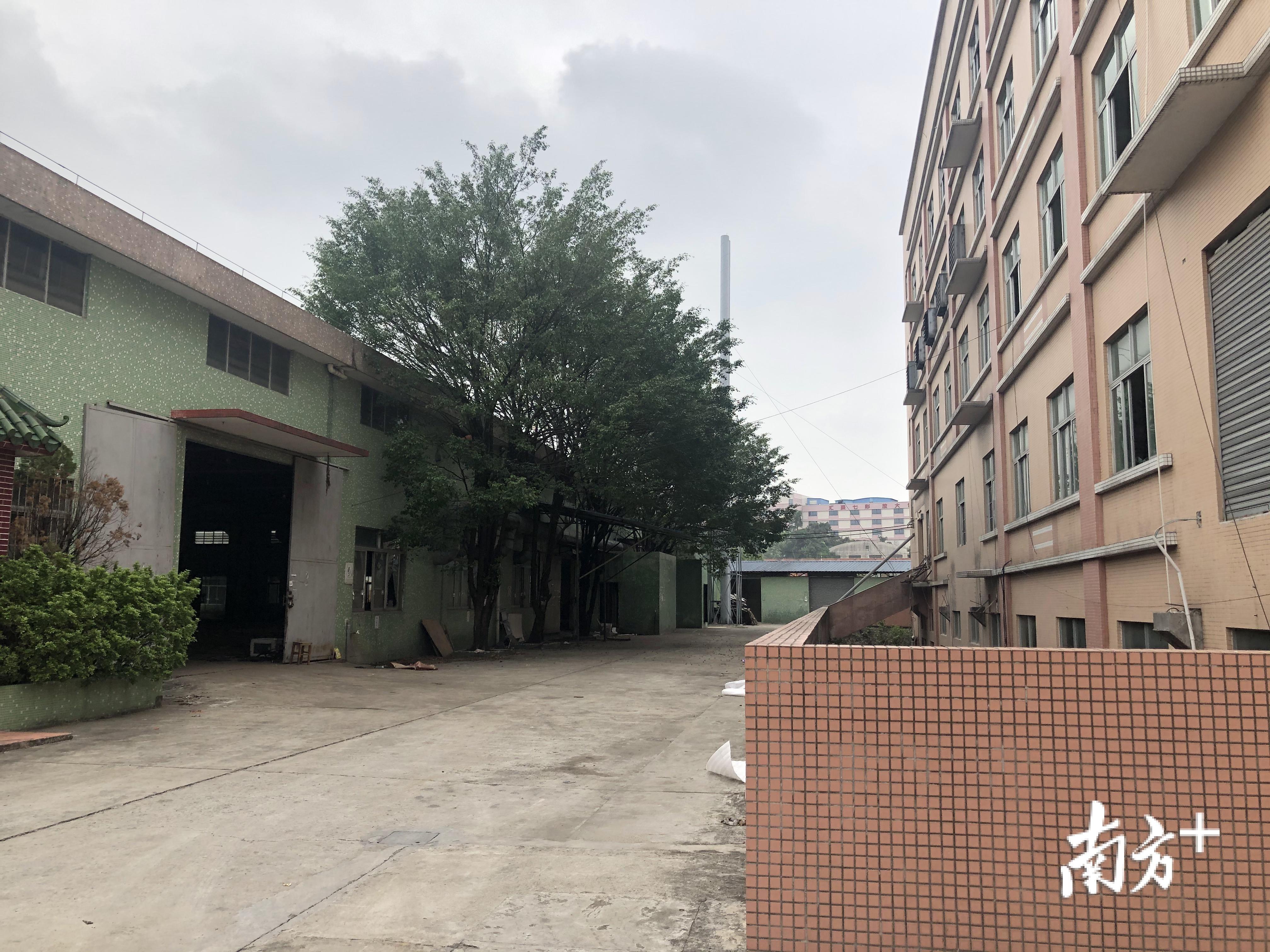 江门鹤山桃源最新招聘,江门鹤山桃源最新招聘，观点论述