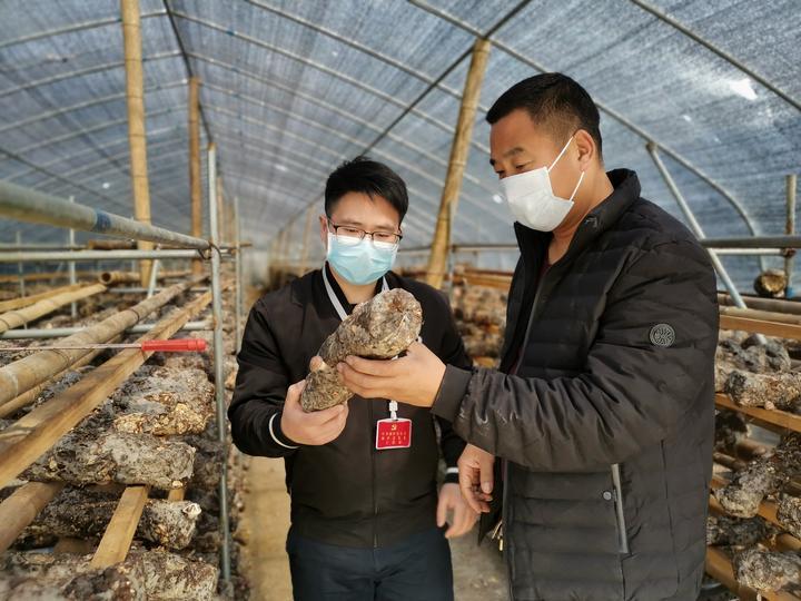 桐庐临时工最新招聘,桐庐临时工的新篇章，友情的温暖与生活的色彩