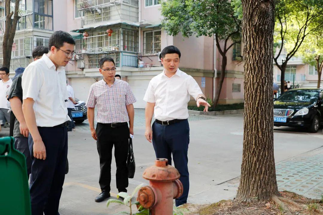 衢州通策兰堡最新动态,衢州通策兰堡最新动态，观点阐述与分析