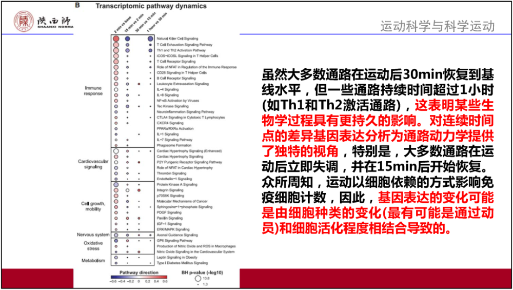 澳门正版资料大全免,现况评判解释说法_VOH81.623传达版