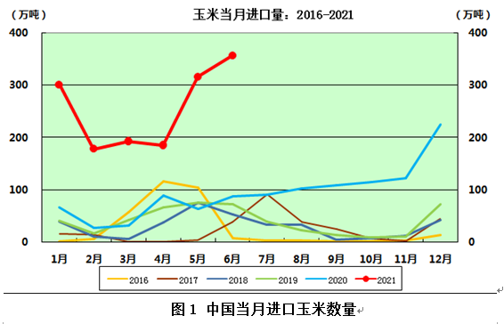 玉米的最新价格及走势,玉米的最新价格及走势🌽