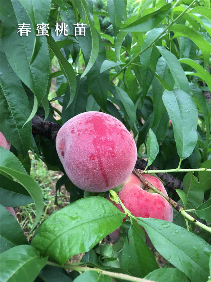 建筑装修装饰贰级 第280页