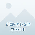 同床异梦最新嘉宾,同床异梦最新嘉宾，爱的日常与友情纽带