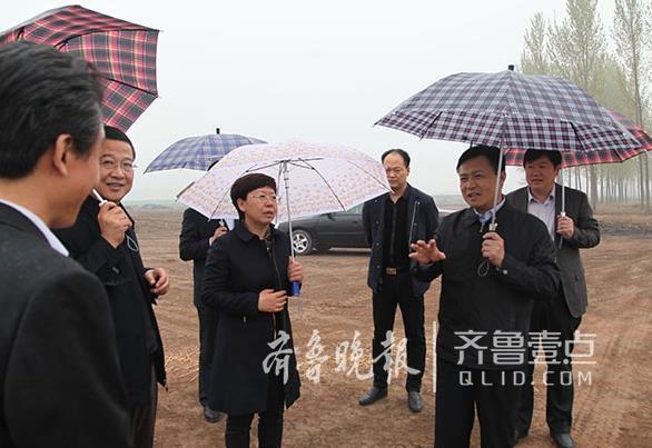 城市及道路照明叁级 第284页