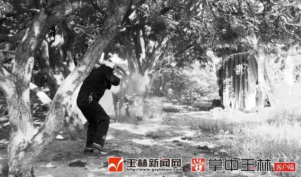 城市及道路照明叁级 第263页