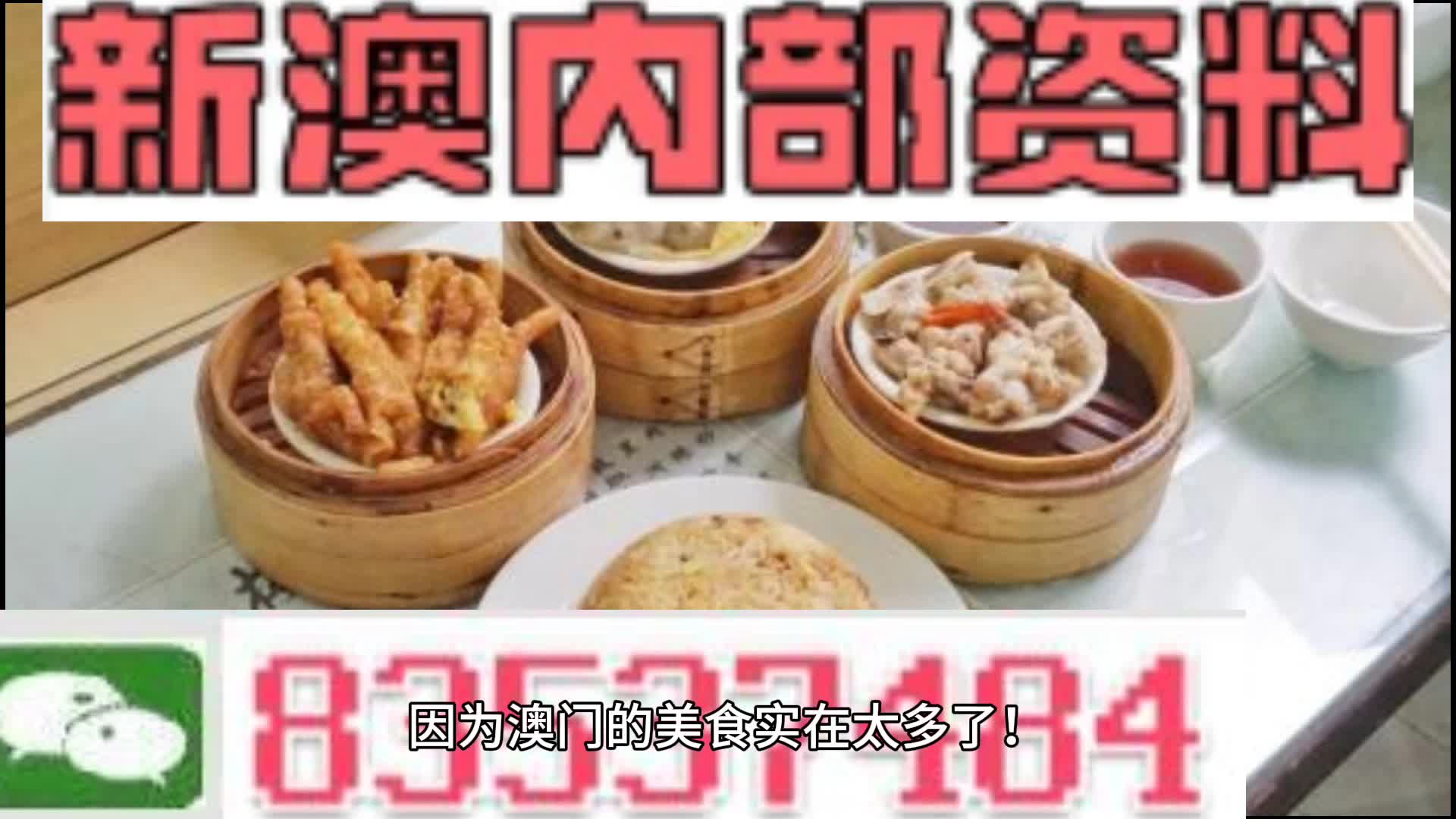 新澳门资料大全正版资料2024年免费下载,家野中特,精细化实施分析_快捷版35.332