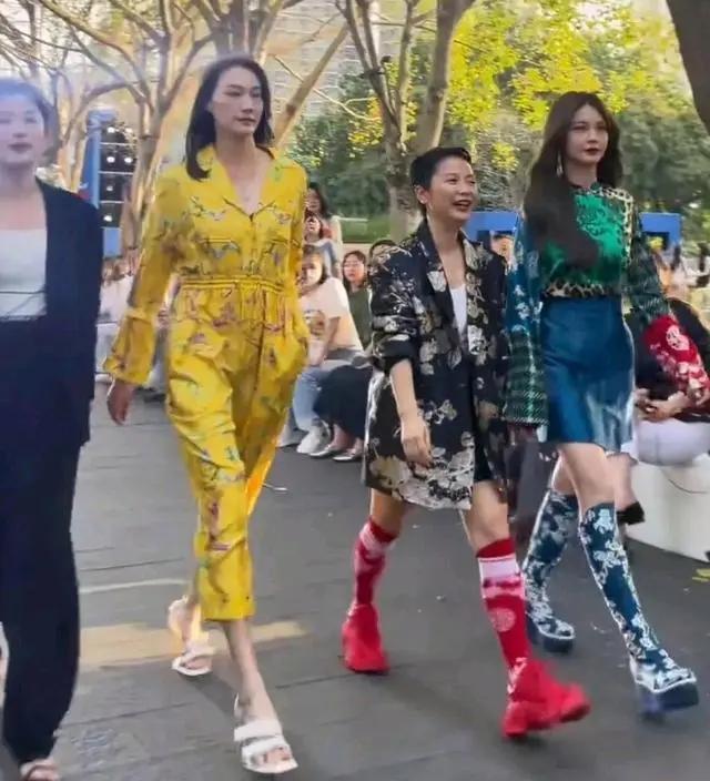谢杏芳林丹最新动态,谢杏芳与林丹的最新动态，赛场内外的风采