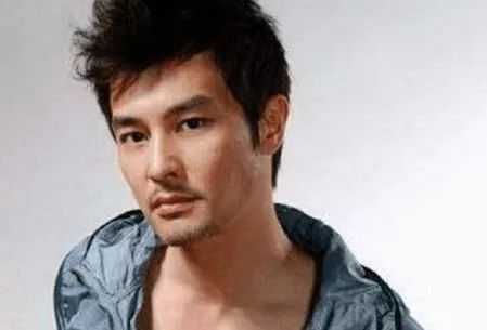 混血男演员,混血男演员，跨越文化的星光闪耀