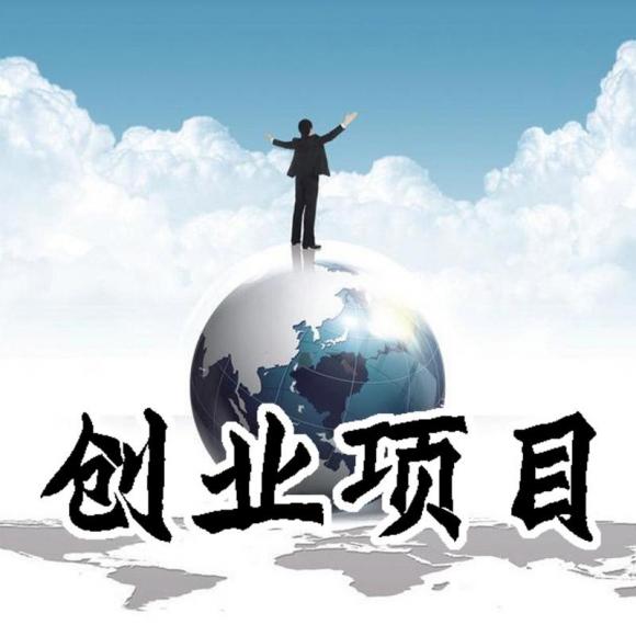 最新创业项目,最新创业项目，探索未来的商机与机遇