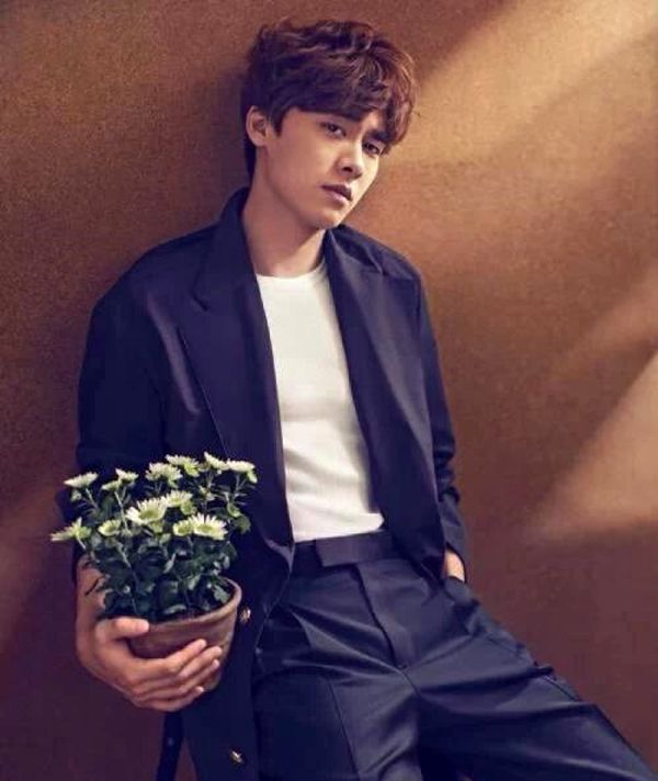 增项有建筑工程施工总承包贰级 第523页