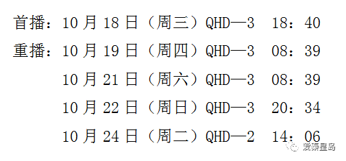 2o24澳门今天晚上开什么生肖,效率资料解释定义_特别版10.460