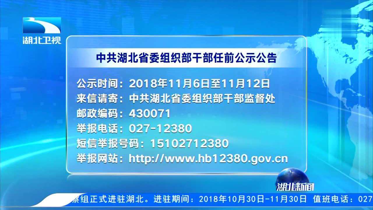 湖北省组织部最新任免,湖北省组织部最新任免,小巷深处的惊喜与探索