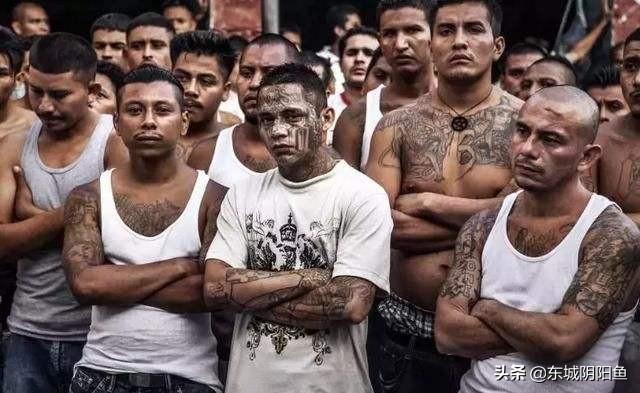 蓝可儿事件最新进展,蓝可儿事件最新进展