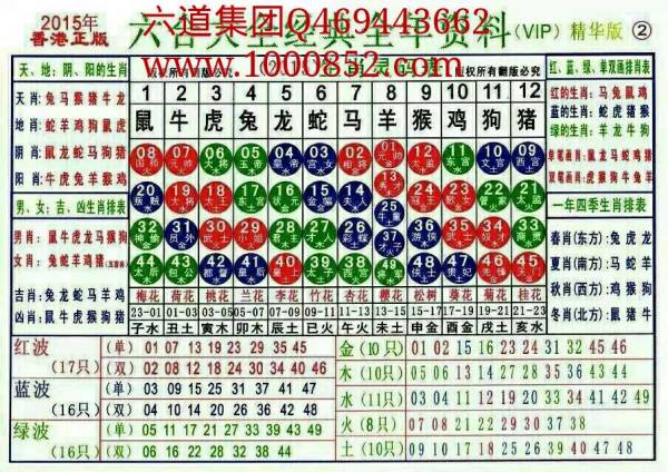2024年十二生肖49码表,数据导向计划_DZT55.976影像版