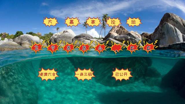 新澳门天天开奖结果,專家解析意見_WCB55.870确认版