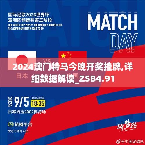 2024澳门特马今晚开什么,统计信息解析说明_WRJ55.419先锋版