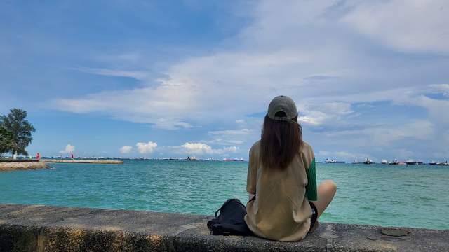 800图资料免费大全资料澳,专业解读方案实施_HVM55.778交互式版