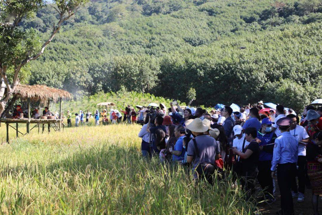 奥门雷锋心232381,动态解读分析_ODE45.683L版