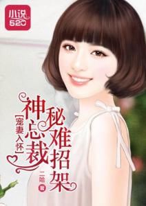 市政公用工程施工总承包贰级 第415页