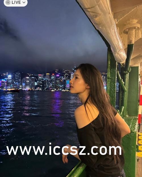 楚雅和傻子最新章节,楚雅与傻子，故事新篇章揭秘