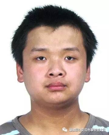 蒲城最新通缉令人名单,蒲城最新通缉令人名单，步骤指南