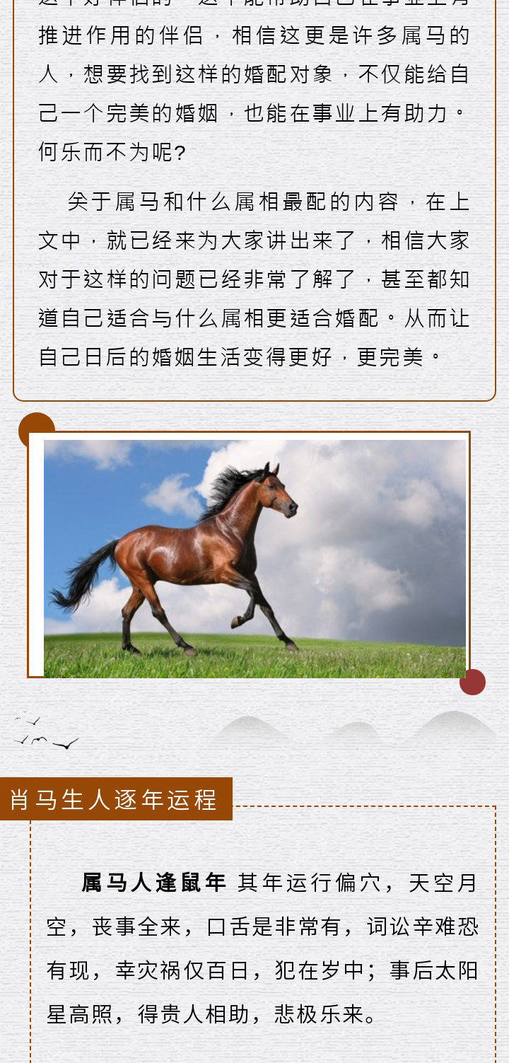 2024最新版马书资料,关于2024最新版马书资料的论述