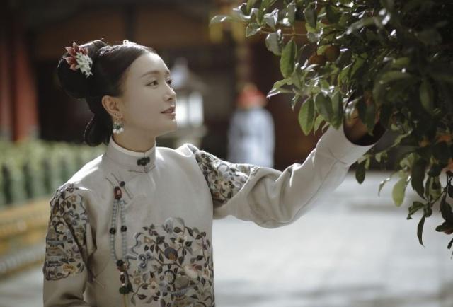 秦岚苏有朋最新消息,秦岚与苏有朋，最新消息及影响