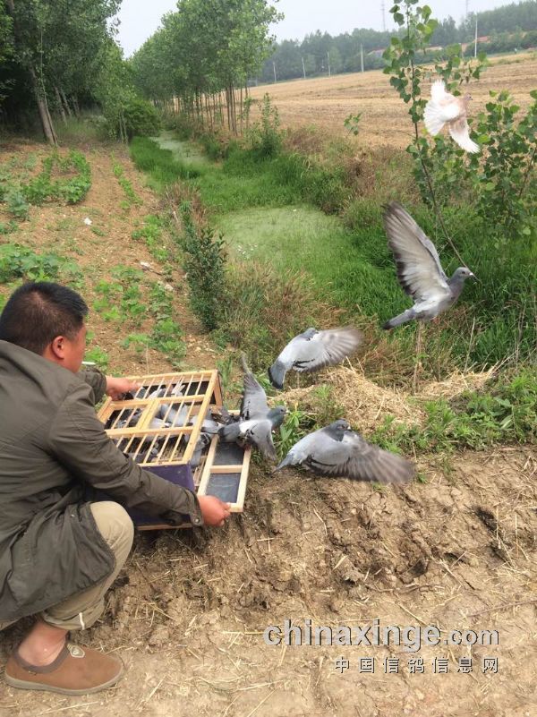 市政公用工程施工总承包贰级 第393页