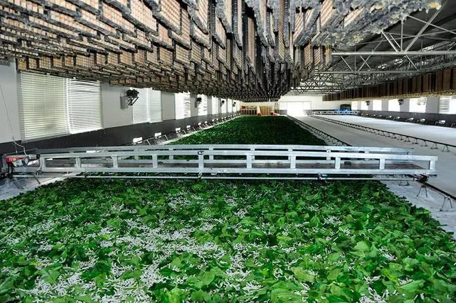 澳门最精准正最精准龙门蚕,现况评判解释说法_UNV81.395跨界版