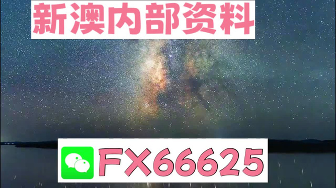 新澳天天彩正版资料大全,全面性解释说明_RKO81.199交互版