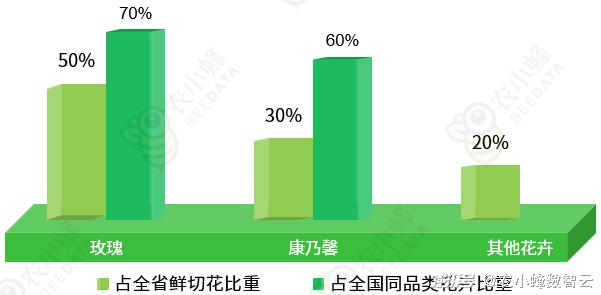 800资料网站,数据分析计划_XDV81.660定向版