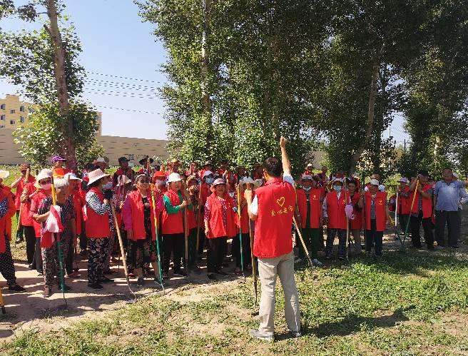 白城通榆谷子最新行情,白城通榆谷子最新行情分析